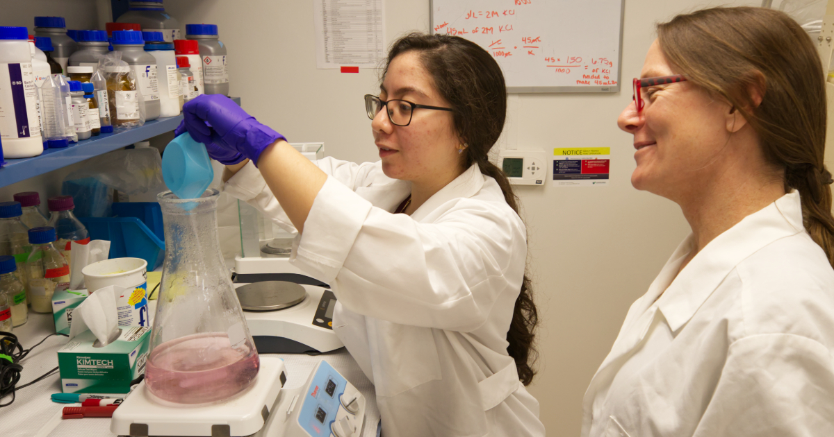 Animal science master’s student Gisselle Garcia uses the anaerobic chamber to inoculate serum vials for time course work.