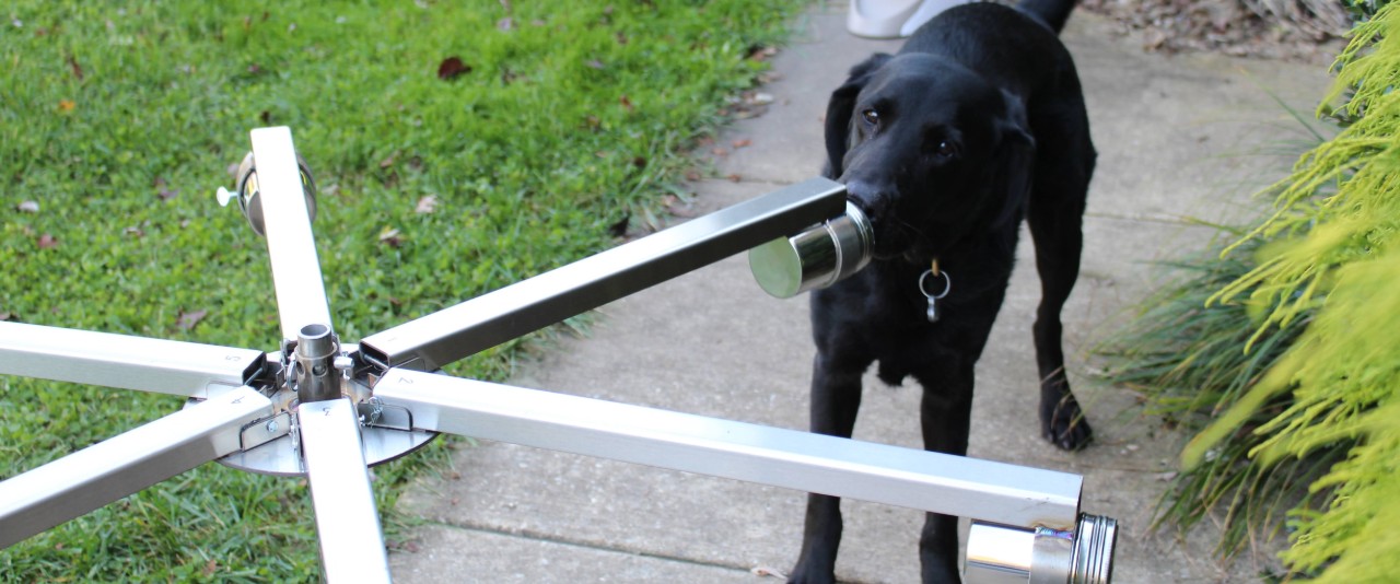 The coronavirus (COVID-19) detection canine Poncho indicates a positive sample from multiple items presented on a canine training wheel. The Training Aid Delivery Devices attached to each arm of the wheel allow the dog to detect the substance inside, some of which are the proteins that a person produces in response to the virus.