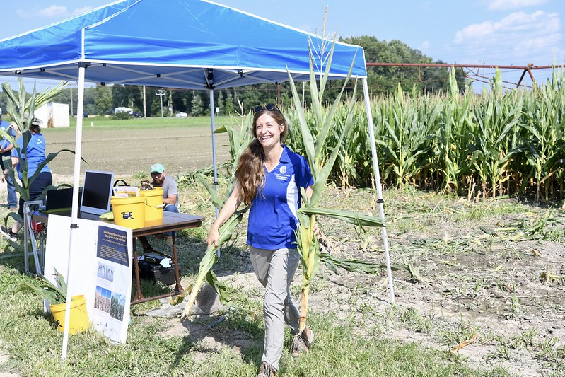 Allyssa Koehler shares example of corn from rye cover crop study