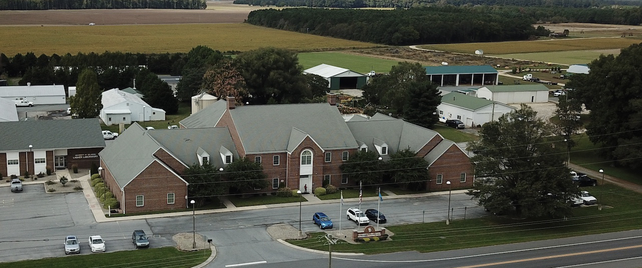 Aerial shot of Carvel and Lasher Lab