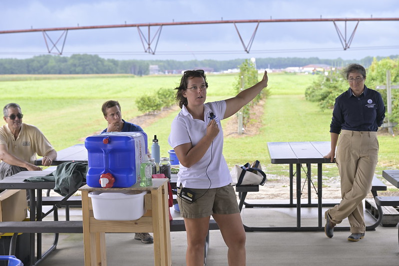 Lyndsie Mikkelsen provides updates on sweet corn variety trials