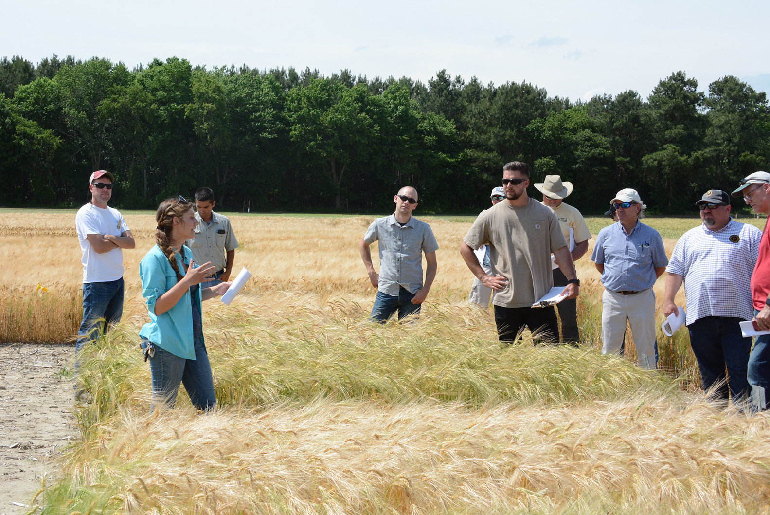 Annual Nematode Field Day