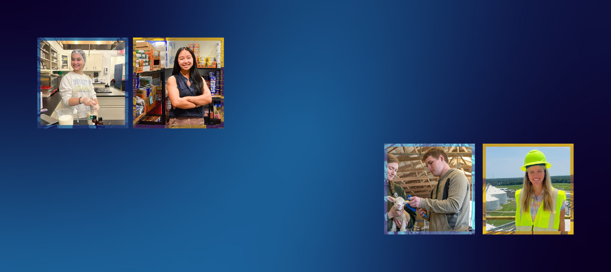 A collage of all four student stories.