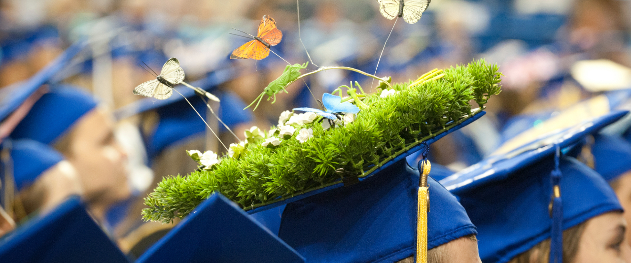Decorated top of graduation cap showing greenery and butterflies