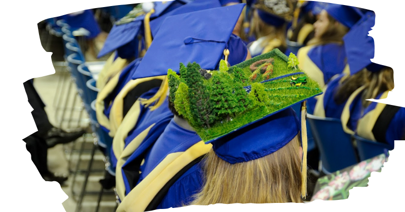 CANR Convocation Graduation Cap with Trees and Tiny Tractor