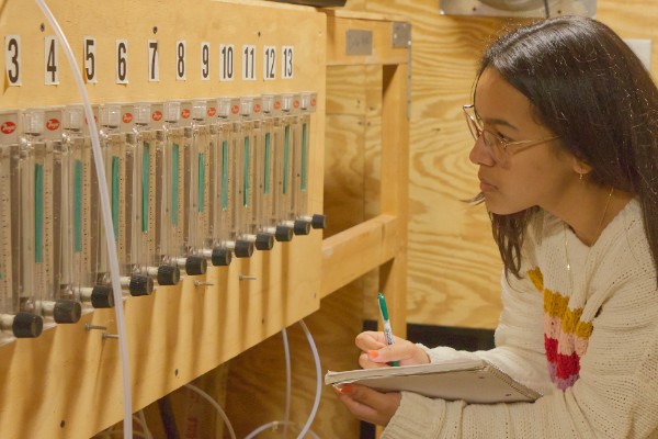 Stephanie Bayron works with Sonni Alvarez on ammonium content in poultry litter as part of Dr. Hong Li’s Lab.