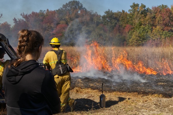 Students in Dr. Jeff Buler’s ENWC416 course traveled to Cedar Swamp Wildlife Management Area to observe a prescribed burn.
