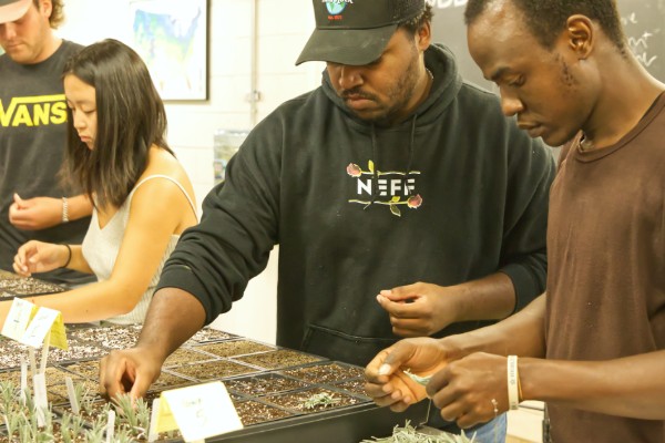 students learn about lavender production from a guest speaker and set up some lavender experiments.