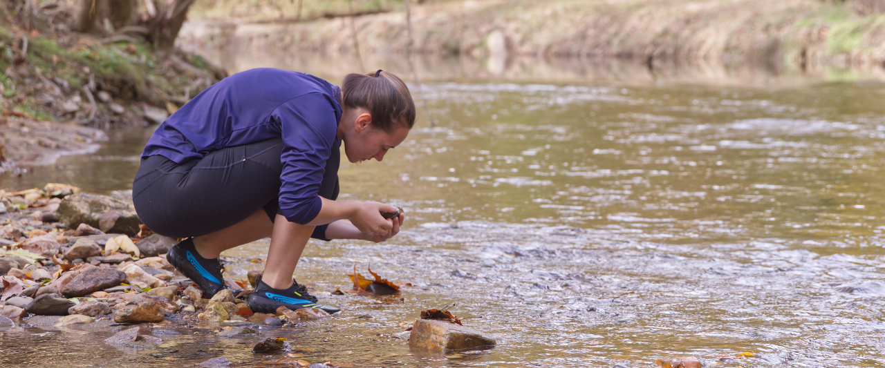 A student crouches by the side of a creek to examine a rock.