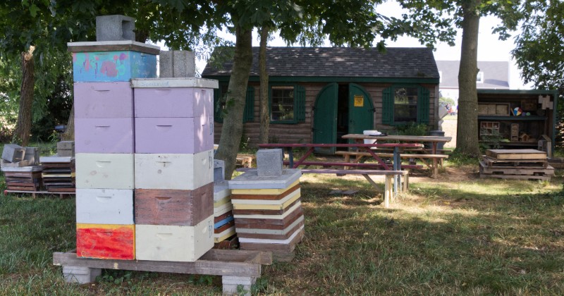 The UD Apiary ground and hives on the farm in South Newark