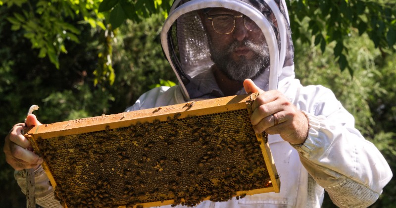 Dan Borkoski working with hives at the UD Apiary.