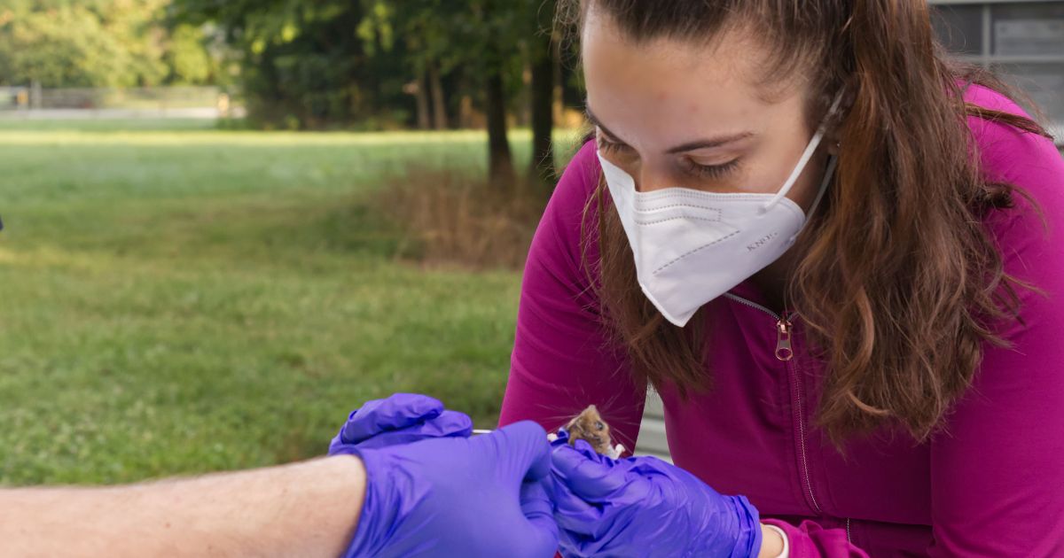 Wildlife Ecology MS | Graduate Programs | University of Delaware