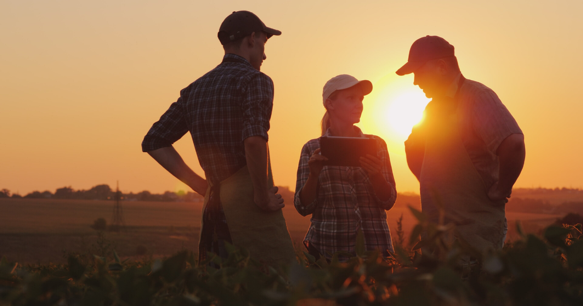 An older farmer speaking to two other younger people in a field during sunset
