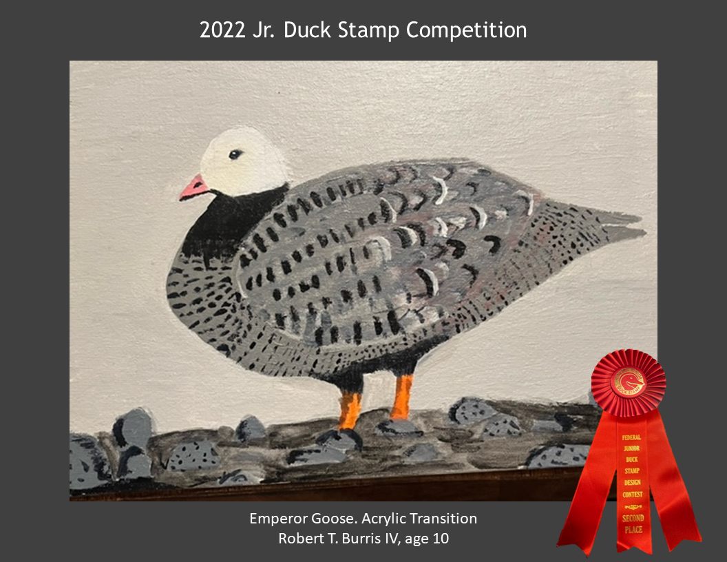 2022 Jr. Duck Stamp Contest, Delaware 4-H. SECOND PLACE. Emperor Goose. Acrylic Transition. Robert T. Burris IV, age 10