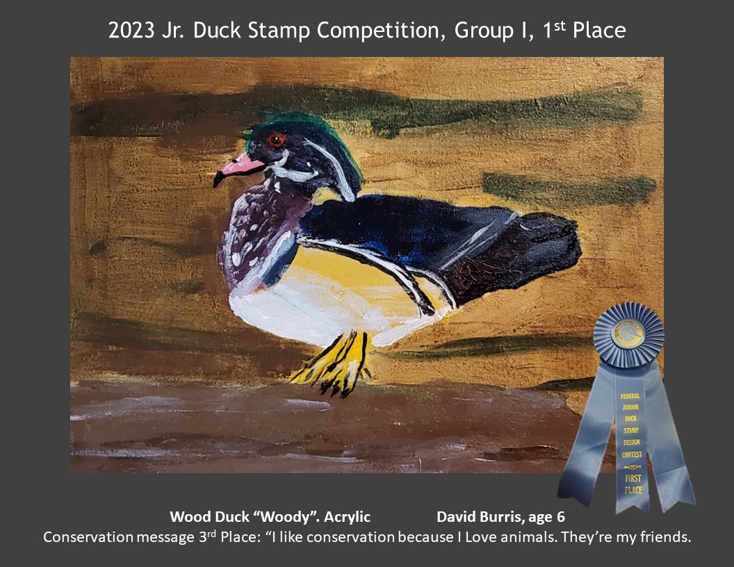 2023 Jr. Duck Stamp Competition, Group I, 1st Place: David Burris, age 6; Wood Duck "Woody". Acrylic