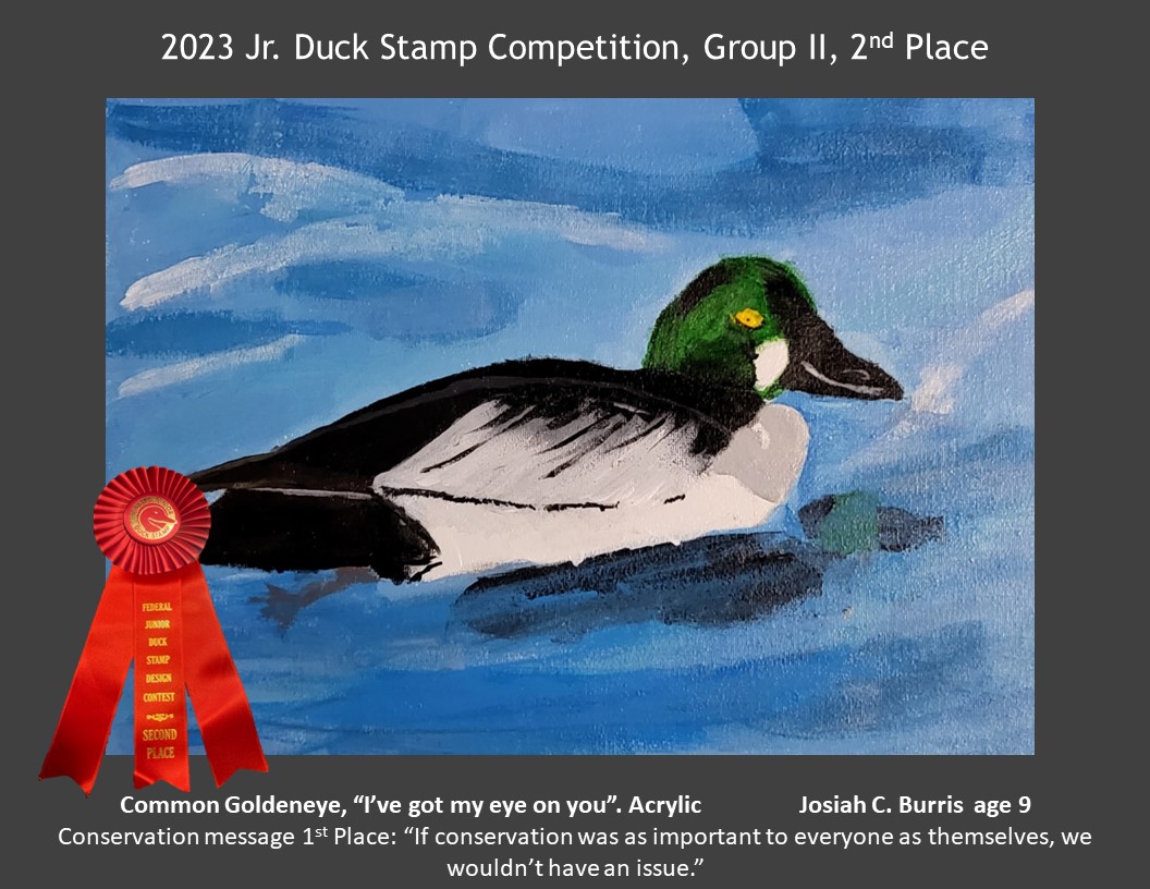 2023 Jr. Duck Stamp Competition, Group II, 2nd Place; Josiah C. Burris age 9; Common Goldeneye, "i've got my eye on you". Acrylic