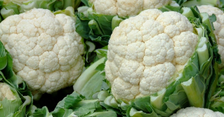 Cauliflower heads bunched together