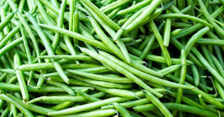 A pile of picked green beans