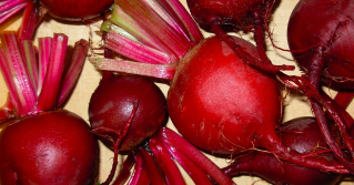 A group of beets