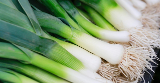 Leeks that have been picked showing the roots
