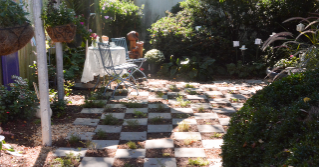 A backyard with plants and pavers
