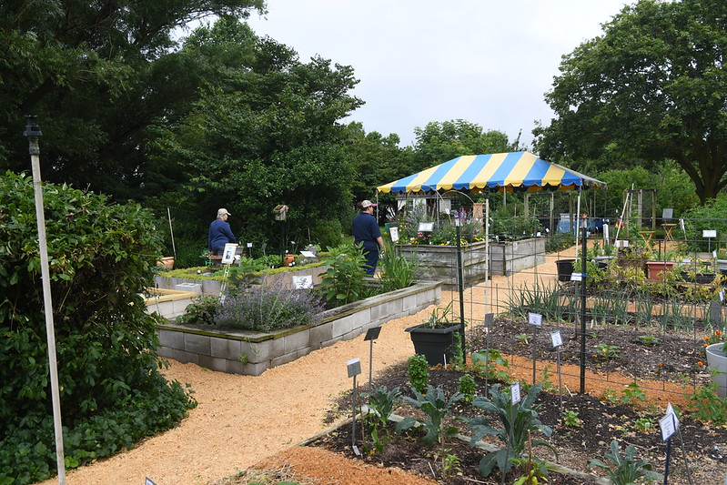 Raised beds and vegetable gardening