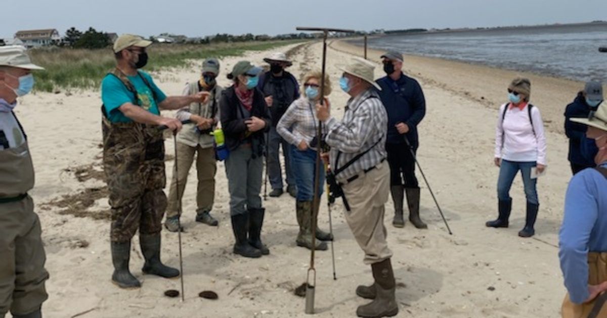 Master naturalists on the beach