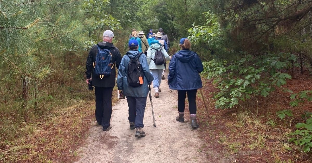 Master naturalists hiking