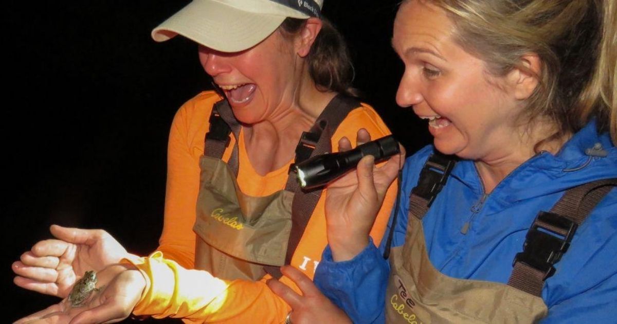 Master naturalists look at a toad.