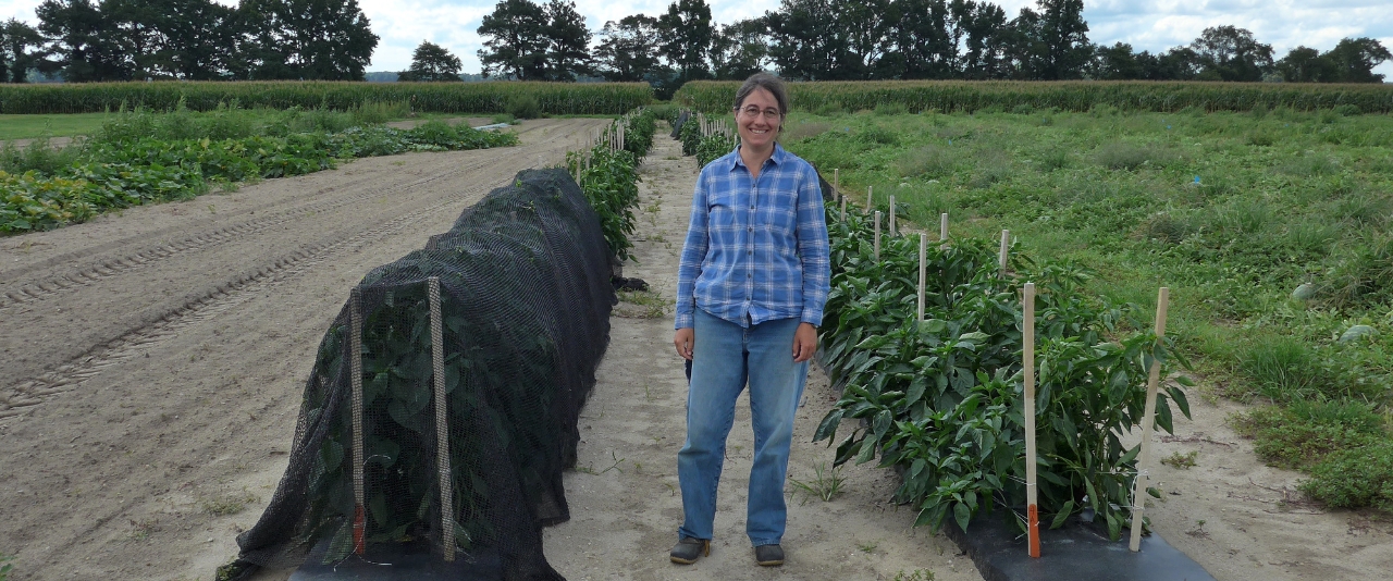 Emmalea Ernest stands in between rows of peppers one with shade cloth, one without