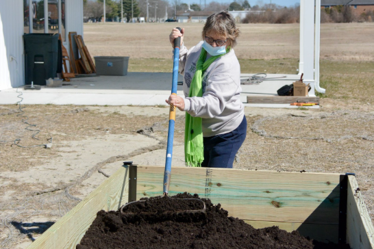A woman rakes some soil in an outdoor setting.