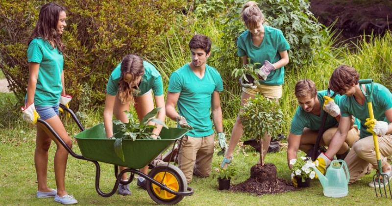 Students working outside in a garden.