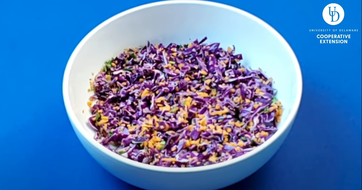Carrot and Red Cabbage Salad