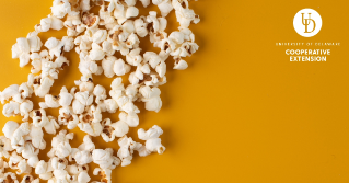 popcorn on an orange background