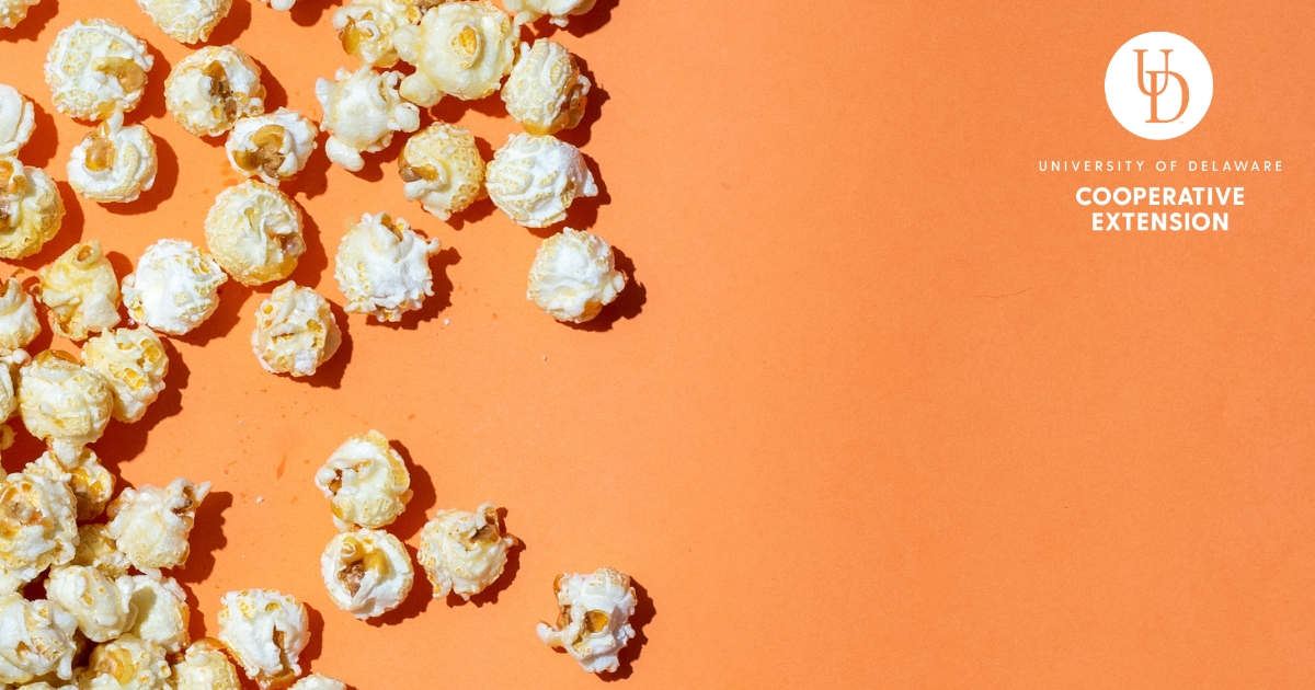 popcorn on an vibrant peach colored background