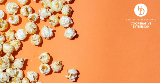 popcorn on an vibrant peach colored background