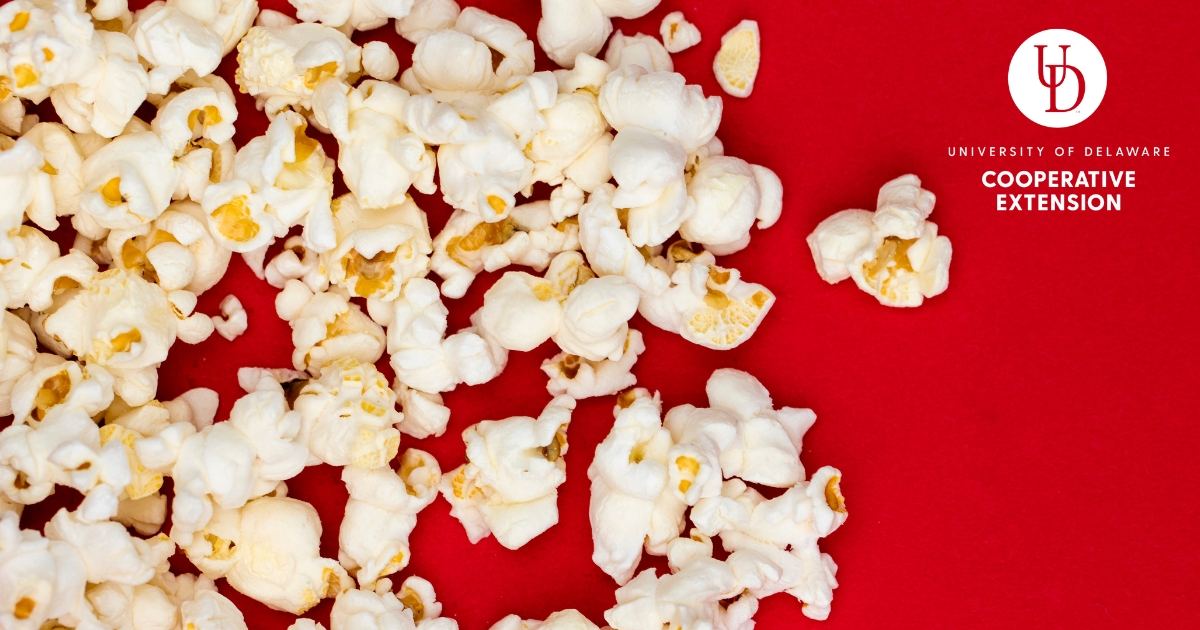 popcorn on a red background