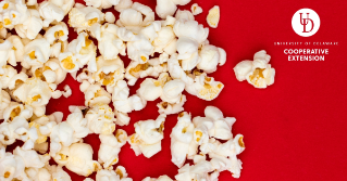 popcorn on a red background