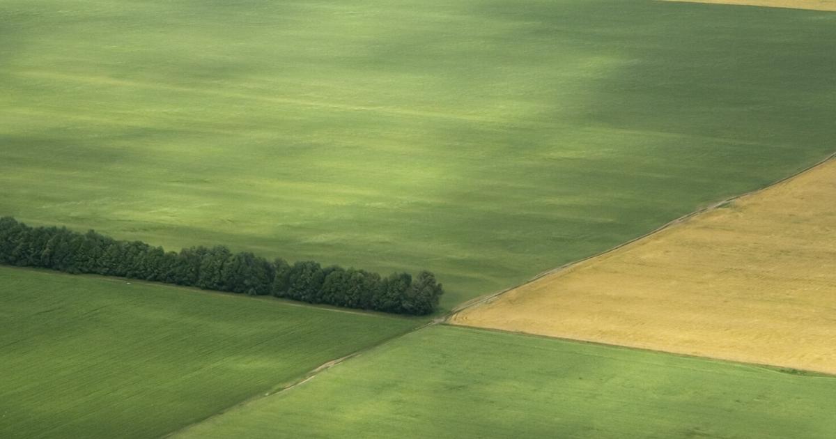 Agricultural Leasing and Farmland Purchases in Delaware 