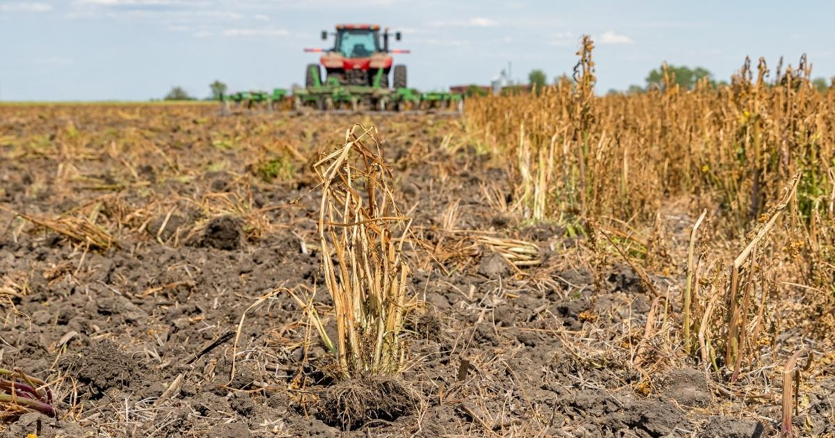 Farmer spraying herbicide in a field