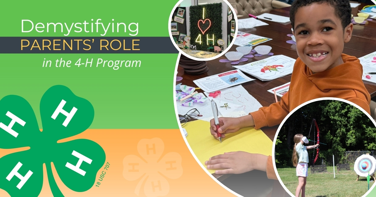 Lead photo with a various 4-H photos