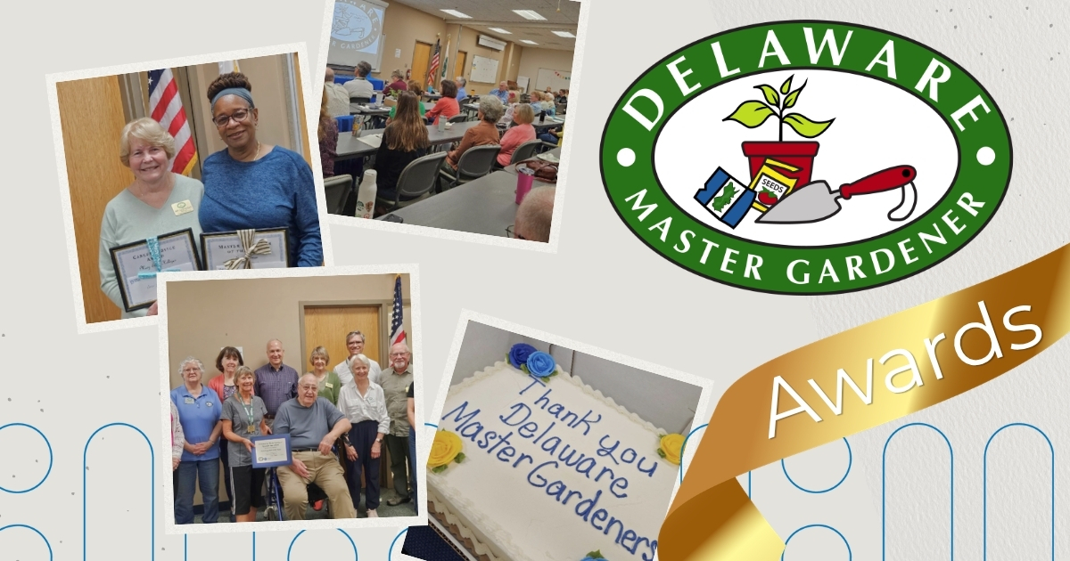 4 photo collage of the Delaware Master Gardener Awards