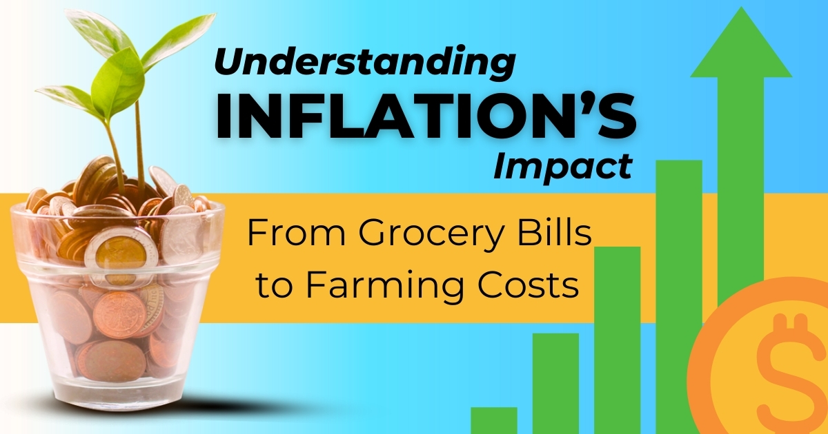 The featured image of a plant growingout of pennies, with the article title Understanding Inflation's Impact: From Grocery Bills to Farming Costs