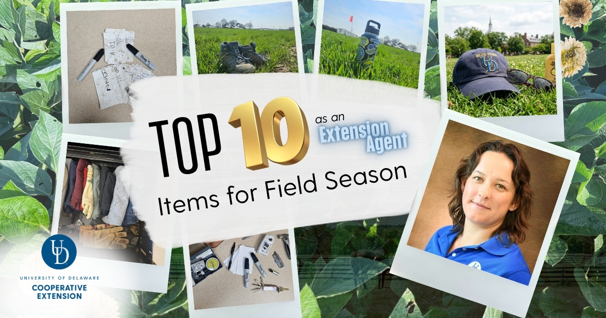 A collage of 7 images used in a field and the extension agent portrait