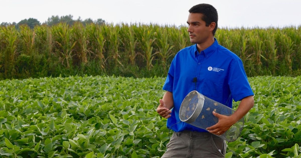 Certified Crop Advisor Pest Management Test Questions / Get answers to