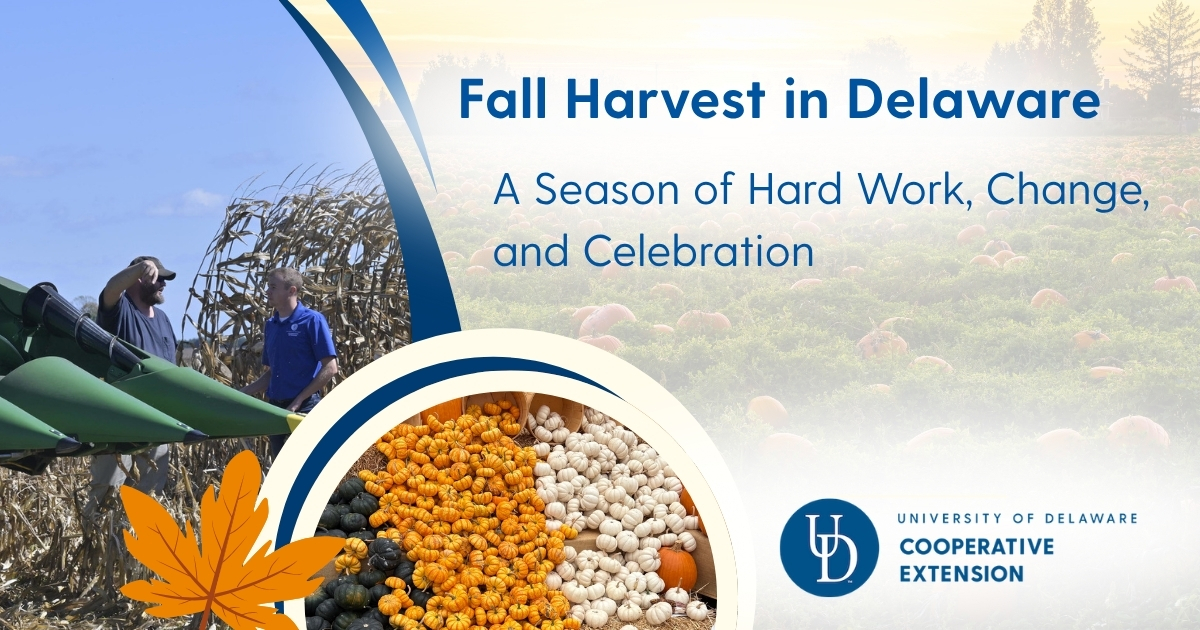 Lead photo with title and harvest photos