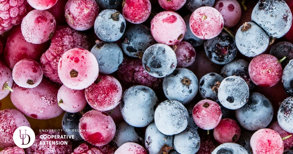 A photo of frozen raspberries