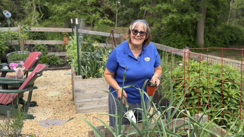 UD Cooperative Extension resources helped Lewes resident Gerri Jackson establish two raised beds in her side yard. The beds yield a wide variety of vegetables every season.
