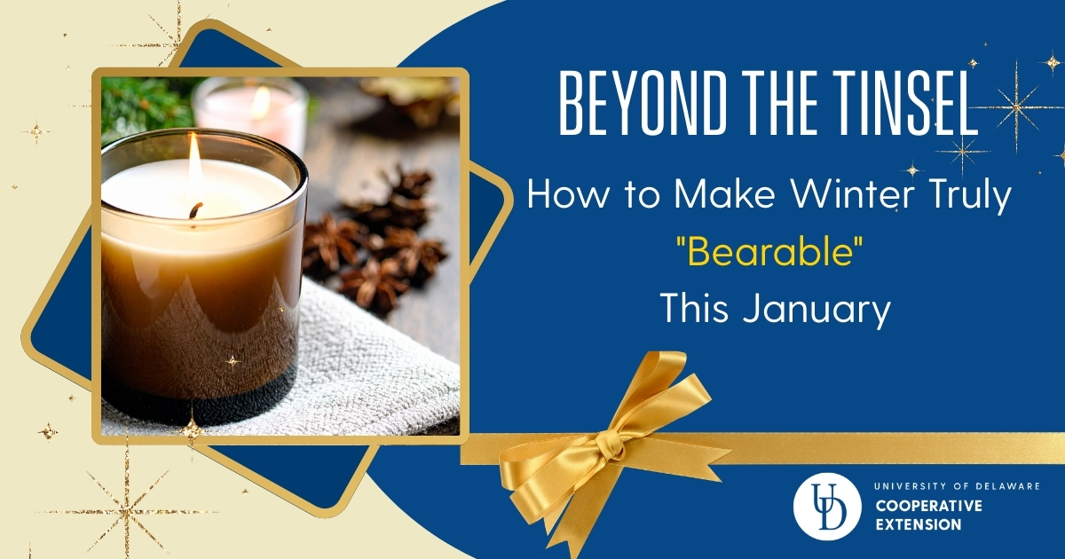 Lead photo with title and a scented candle