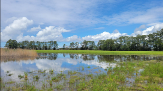 Coastal flooding in a Virginia field is reducing the acreage that can be profitability farmed 